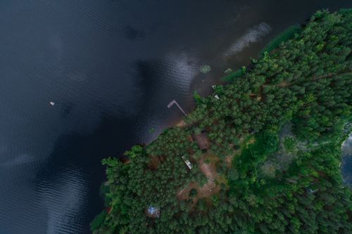 Free Drone shot capturing a tranquil forest and lake scene, perfect for nature lovers. Stock Photo