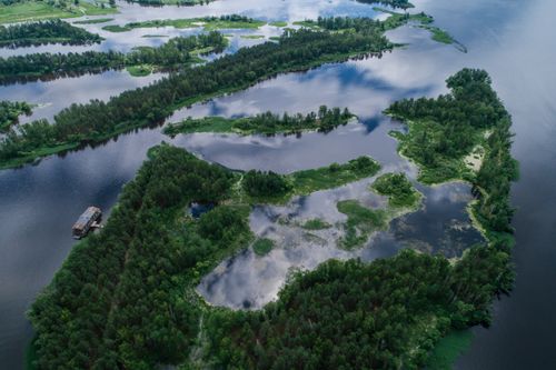Free Explore lush green islands surrounded by serene waterways in this tranquil aerial shot. Stock Photo