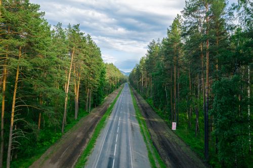 Free A picturesque aerial view of a road through lush green forest, captured in summer. Stock Photo