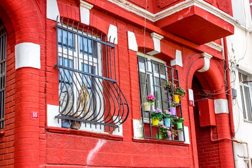 Potted Plants Hanging over the Window Grills