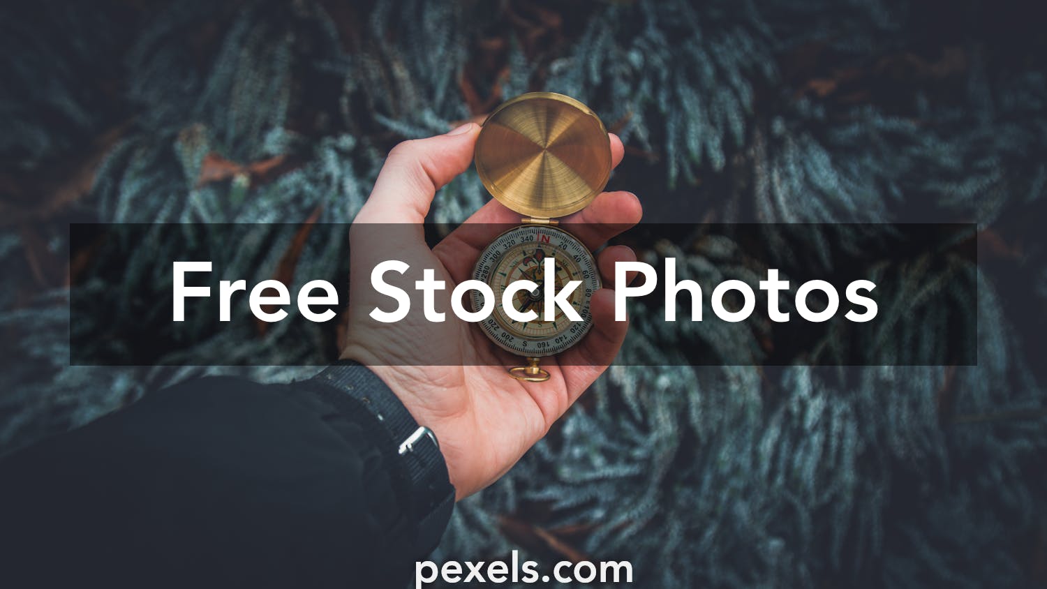 Explore Photos, Download The BEST Free Explore Stock Photos & HD Images