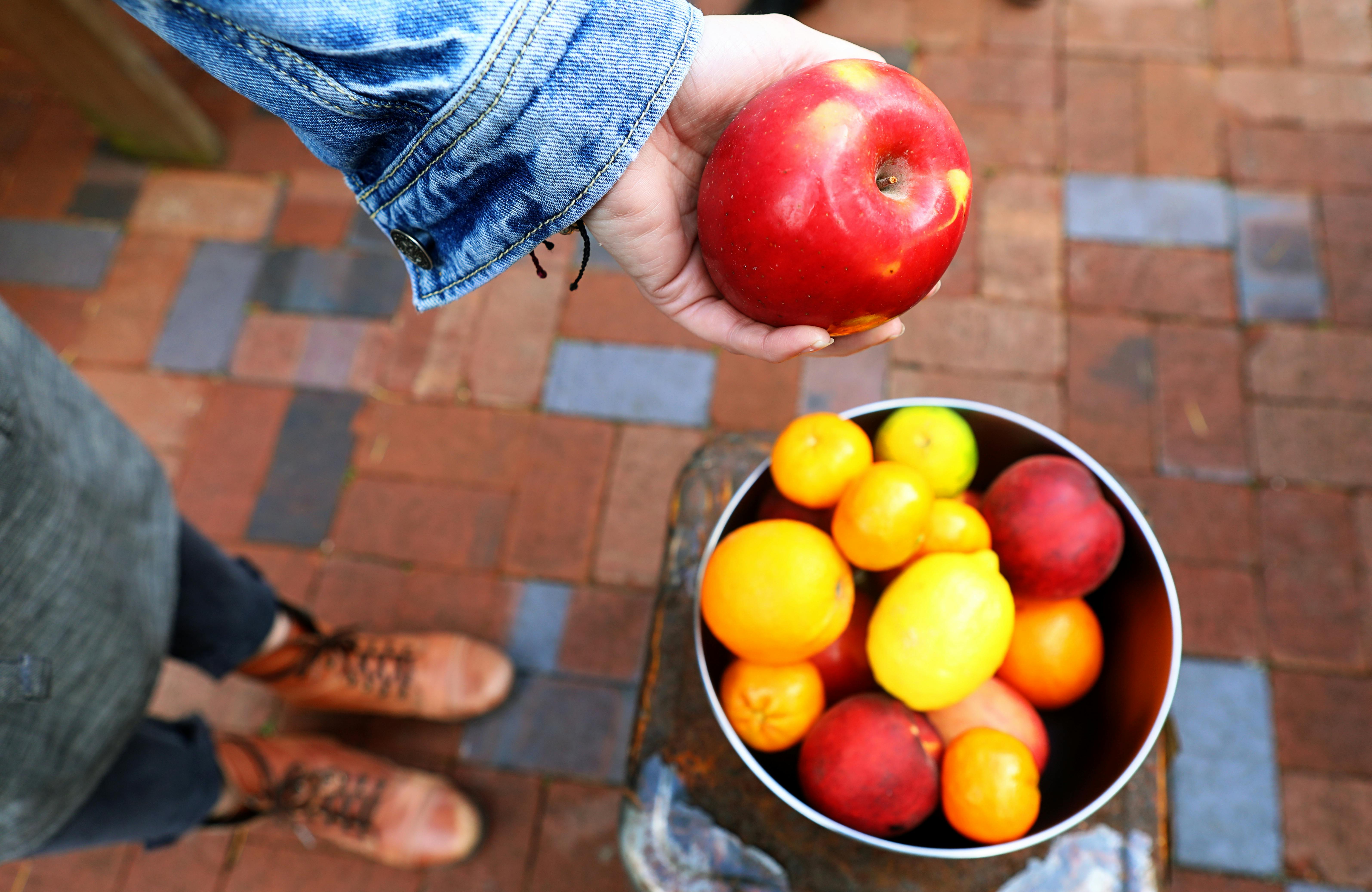 Kostnadsfria Kostnadsfri bild av apelsiner, äpple, äta nyttigt Stock foto