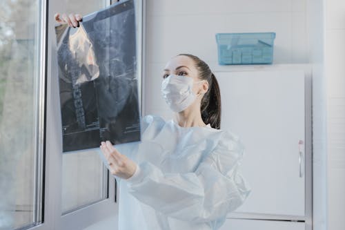Free Doctor looking at an X-ray  Stock Photo