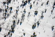 White and Black Snow Covered Field