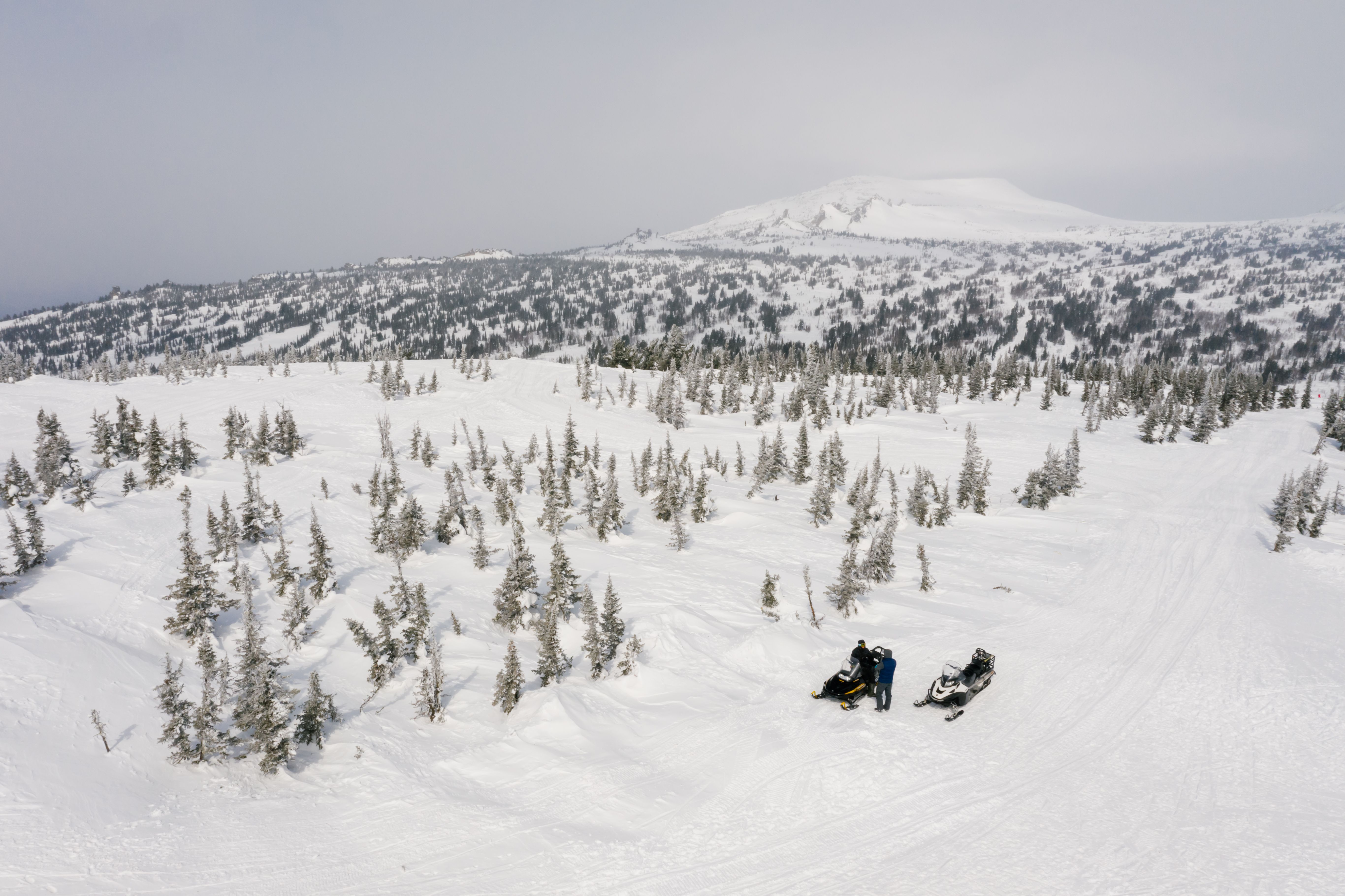 Drone Shot of a Snow-Covered Ground · Free Stock Photo