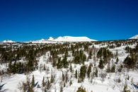 Snow Covered Trees Under Blue Sky