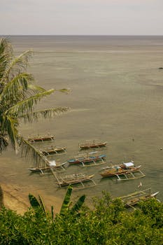 Aerial shot of traditional boats docked by a tropical seaside, perfect for travel inspiration.