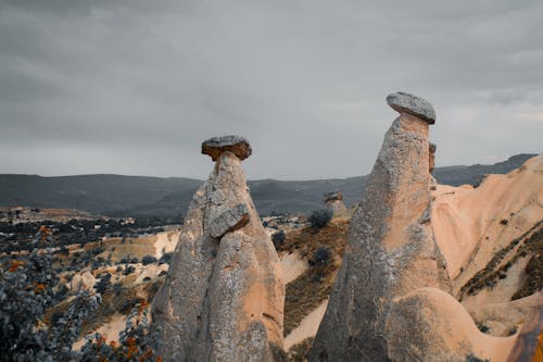 Close-up Photo of Rock Formation 