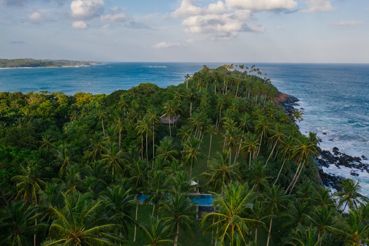 An Island Covered With Green Trees 