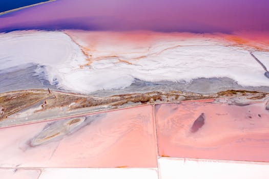 Vibrant aerial capture of unique pink salt flats featuring striking color variations.