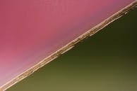Drone Photography of Pink and Green Water