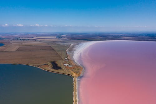 Pink Sasyk Lake