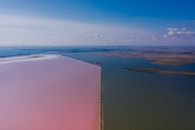 White and Pink Board on Beach