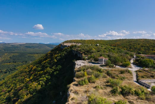 Aerial view capturing the lush green plateau and ancient structures under a clear blue sky.