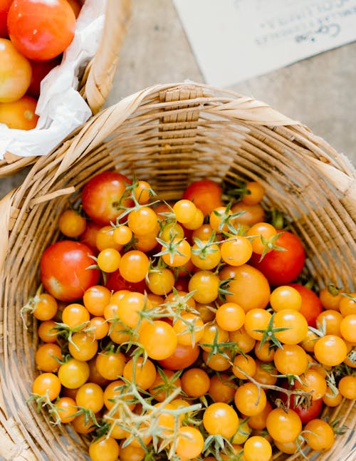 Tomatoes in Basket
