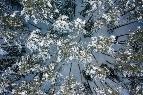 Free A breathtaking aerial view of a snow-covered forest, showcasing frost-laden trees in a serene winter landscape. Stock Photo