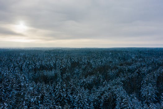 Aerial shot of an extensive winter forest covered in snow under a cloudy sky.
