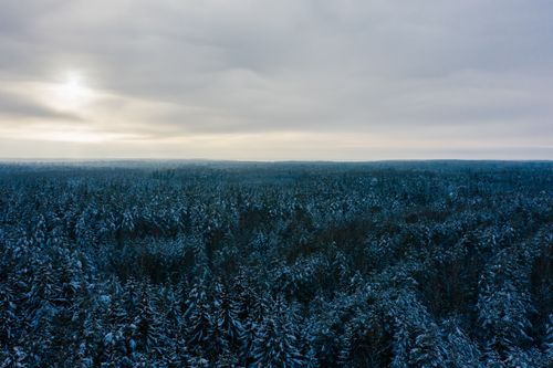 Free Aerial shot of an extensive winter forest covered in snow under a cloudy sky. Stock Photo