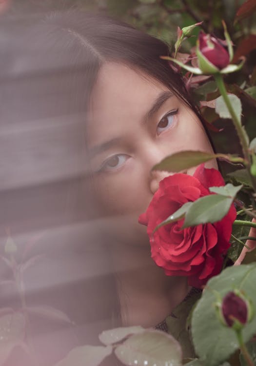 Free Close-Up Shot of a Woman behind a Rose Flower Stock Photo