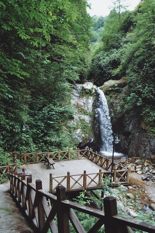 Scenic Viewpoint Overlooking Waterfall