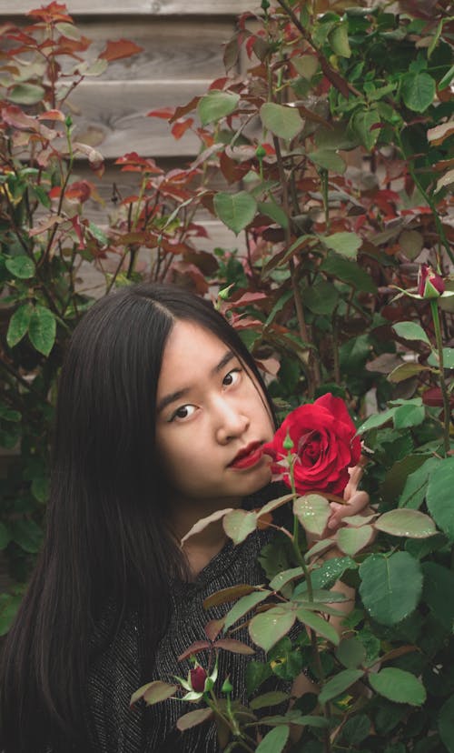 Free A Woman Posing Near the Red Rose Stock Photo