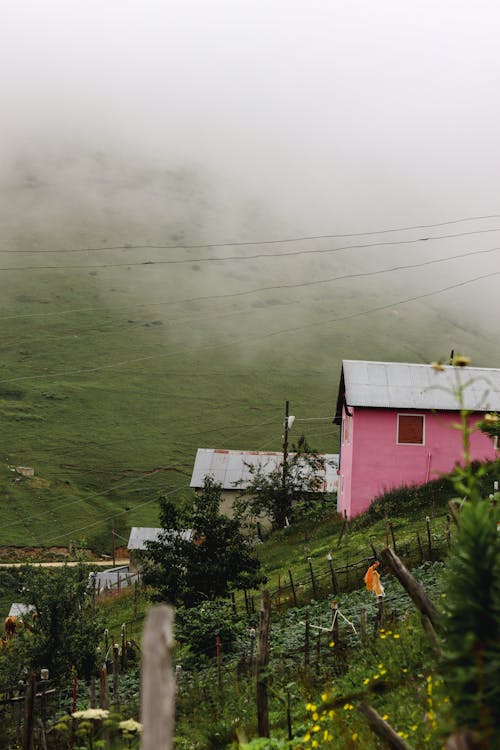 Fences Between Gardens and Houses on a Hill