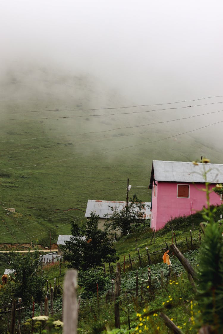 Fences Between Gardens And Houses On A Hill