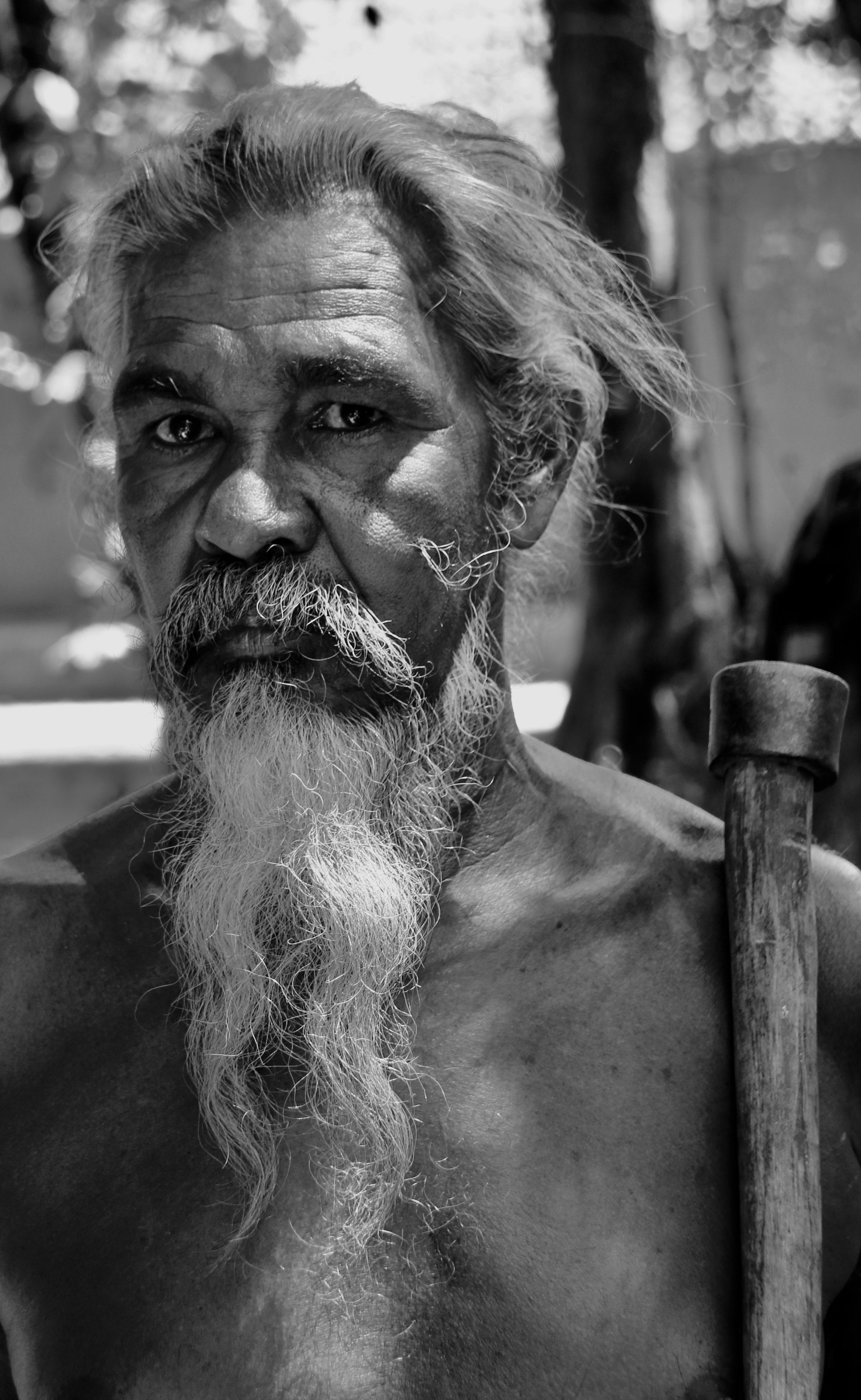 Portrait of Shirtless Elderly Man with Beard · Free Stock Photo