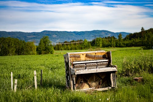 A Broken Piano on Green Grass Field