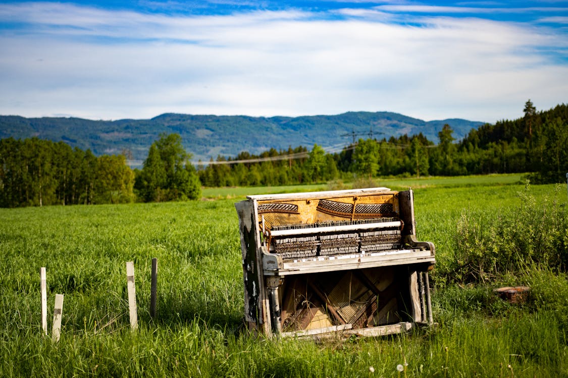 A Broken Piano on Green Grass Field