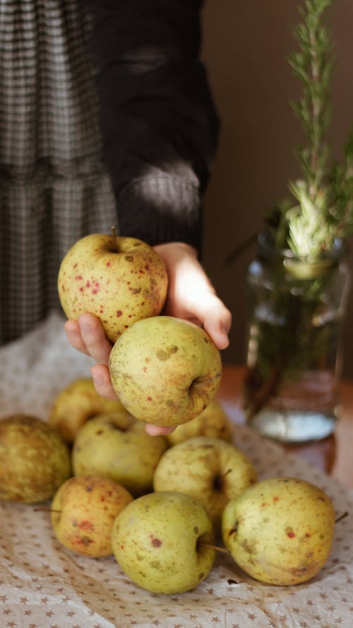 Crop person showing ripe apples at home