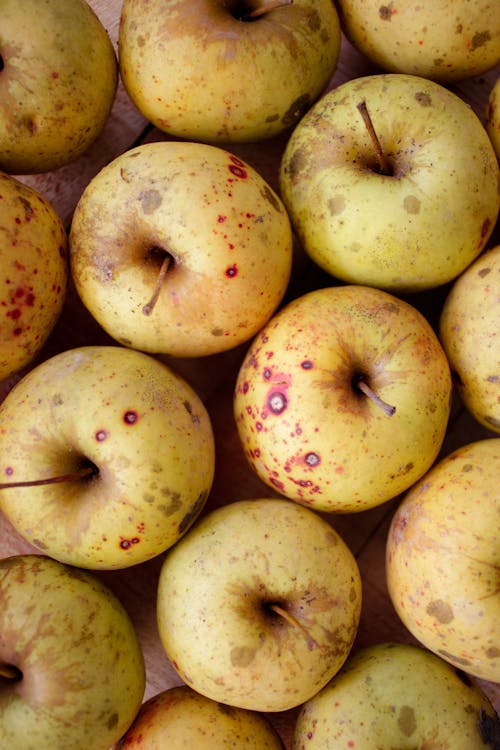 Overhead view of full frame backdrop of ripe apples with stems and spots on peel