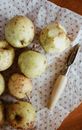 Fresh apples and peeler on paper at home