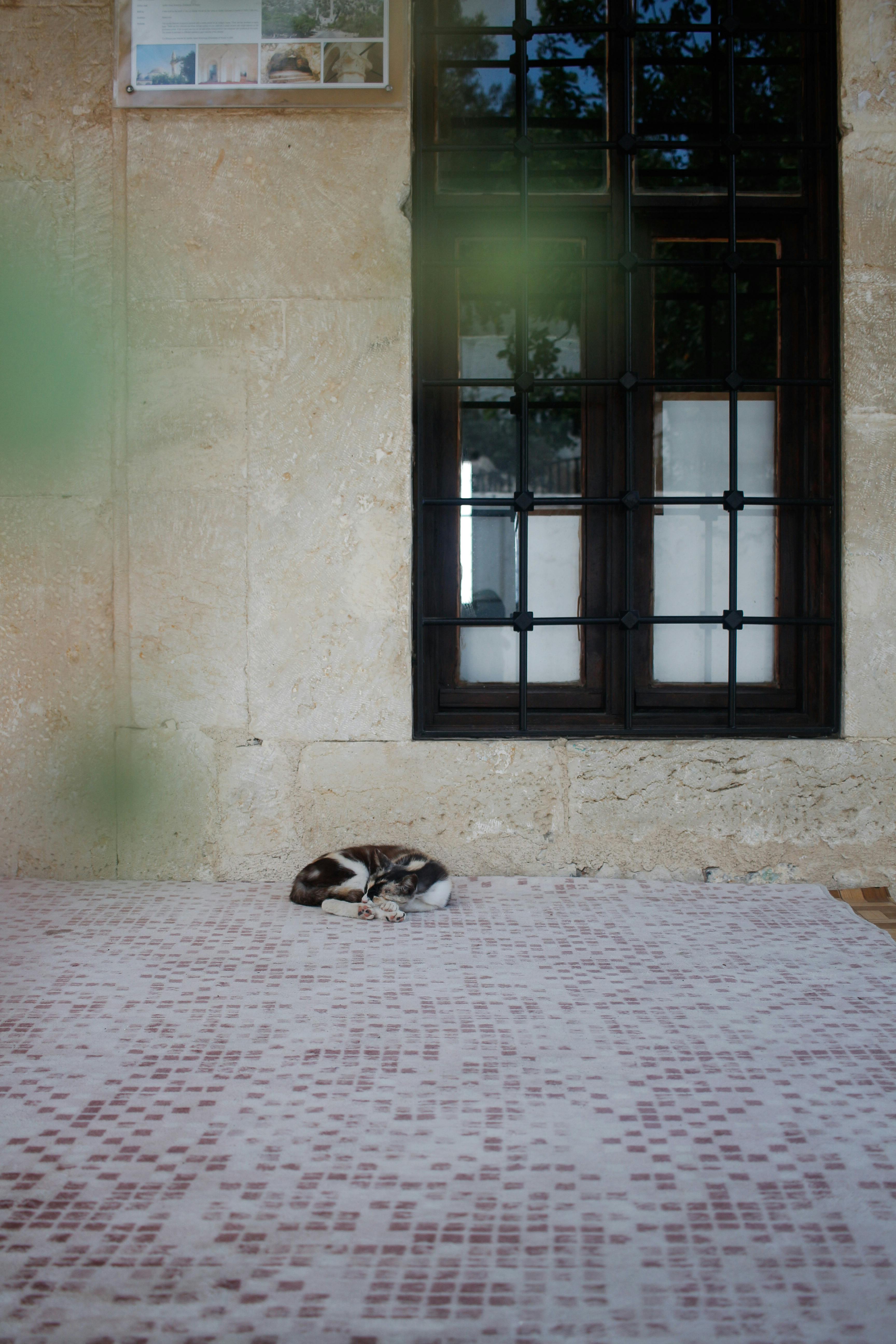 Why does my 19 year old son sleep so much?