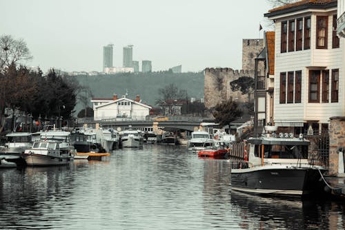 ağaçlar, bağlı, binalar içeren Ücretsiz stok fotoğraf