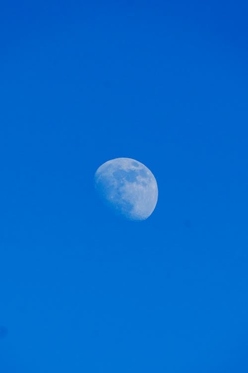 Foto stok gratis biru, bulan, langit