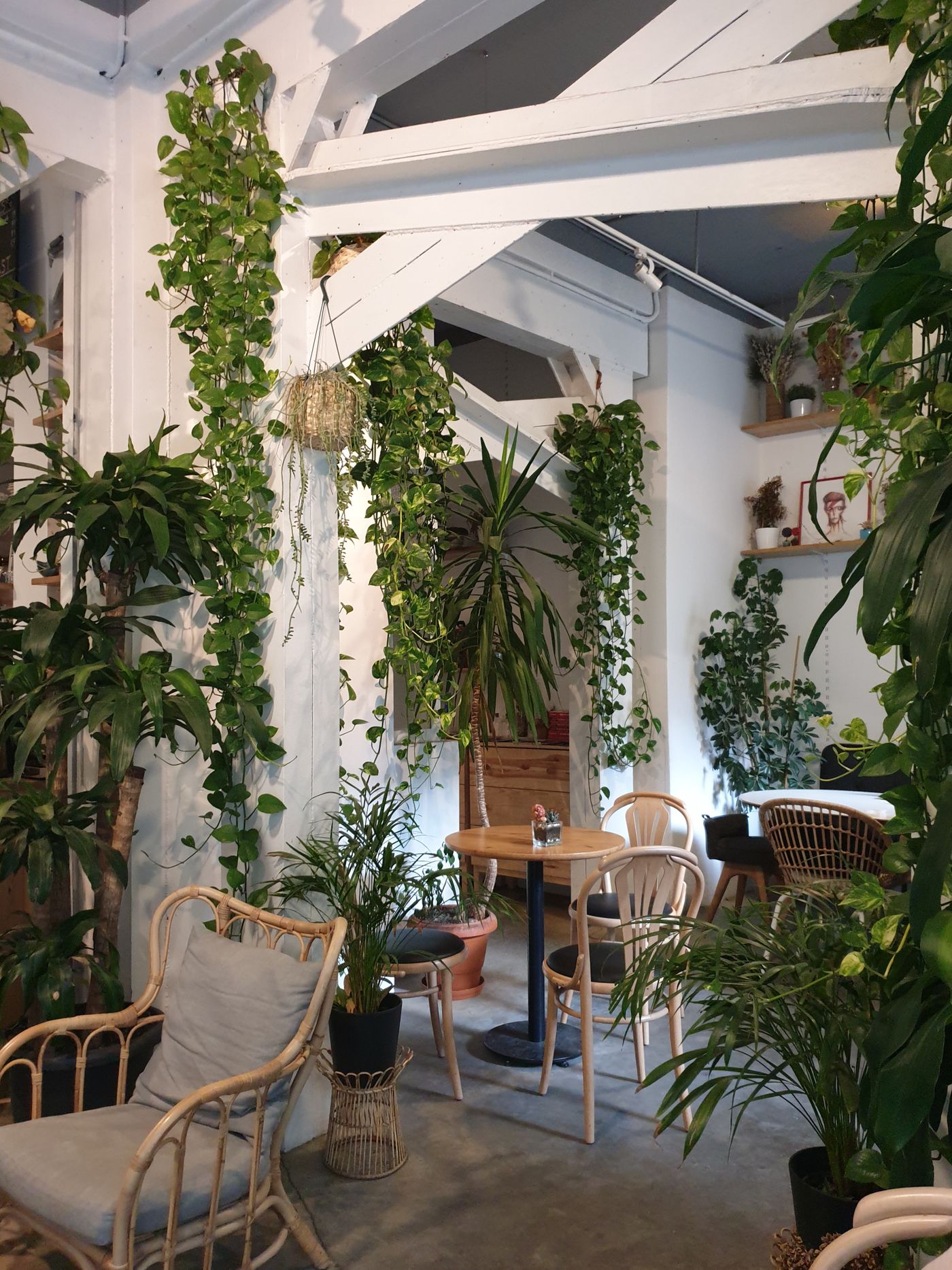 Green cafe interior with natural materials