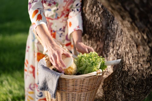 Free Person in White and Red Floral Shirt Holding Brown Woven Basket With Green Vegetable Stock Photo