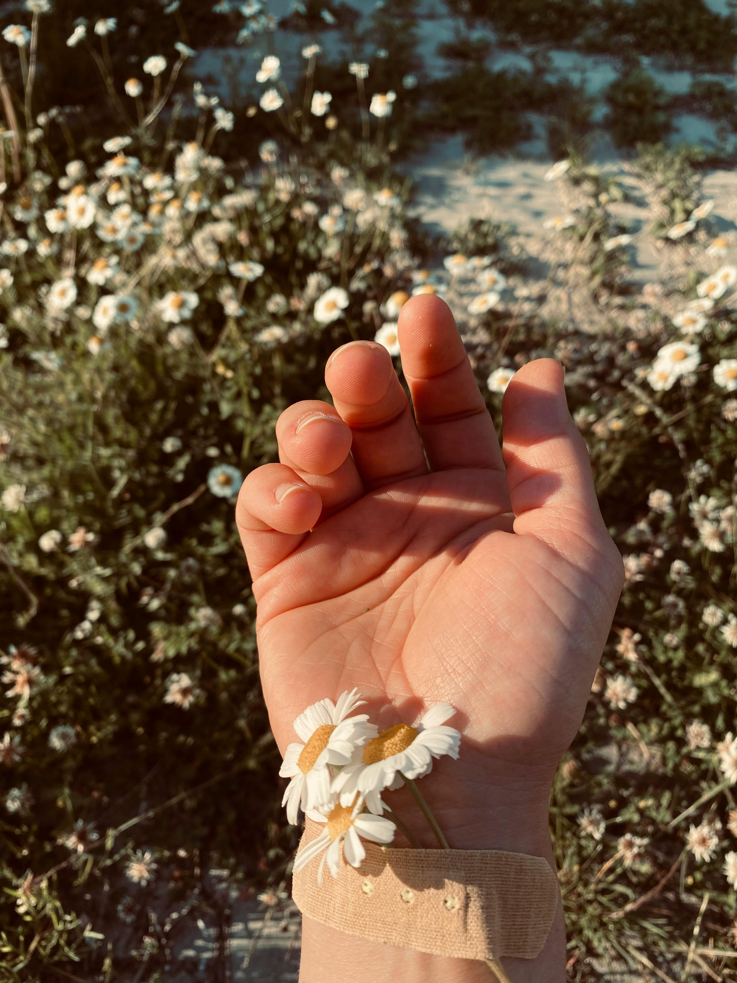 flowers under a band aid on a womans wrist