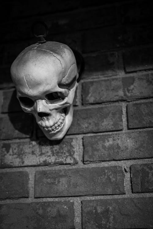 Grayscale Photo of a Human Skull Hanging on a Brick Wall