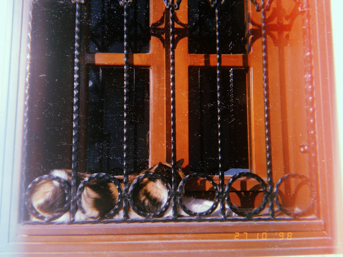 Clinician discussing treatment options with a patient