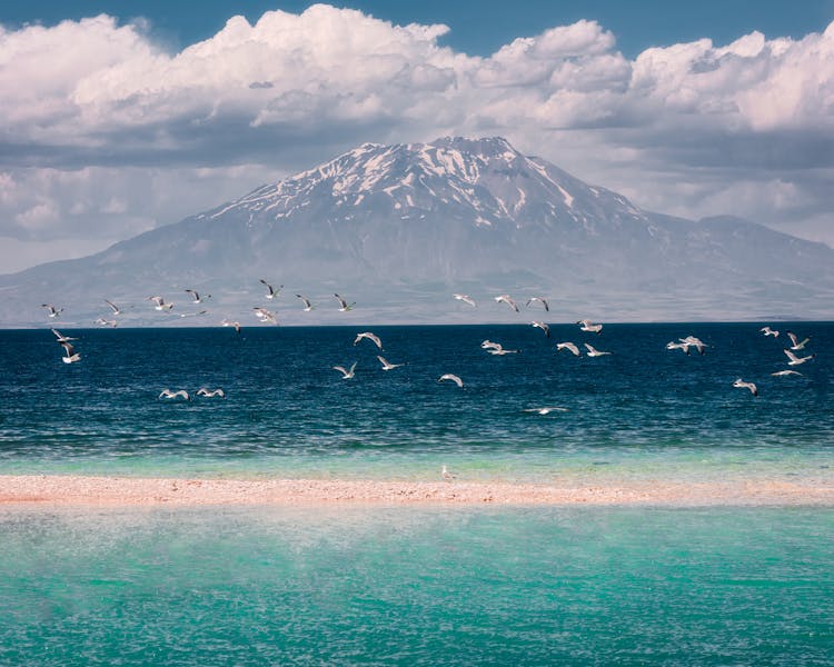 Turquoise Sea Bay With Volcano In Background