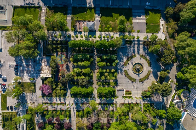 Bird's-eye View Of The Taksim Gezi Park