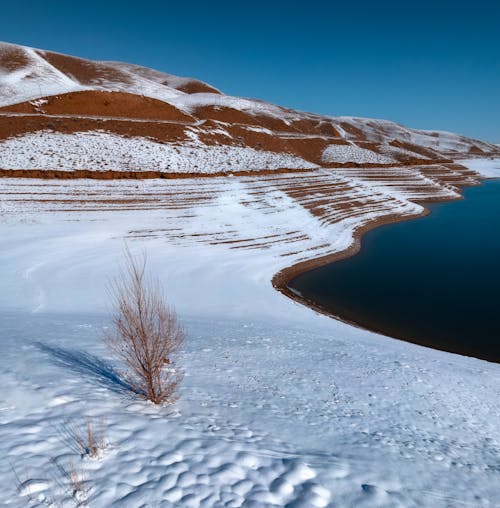 Immagine gratuita di bellissimo, campagna, chiaro cielo blu