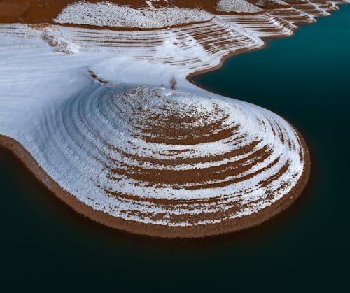 Immagine gratuita di albero, bagnasciuga, lago