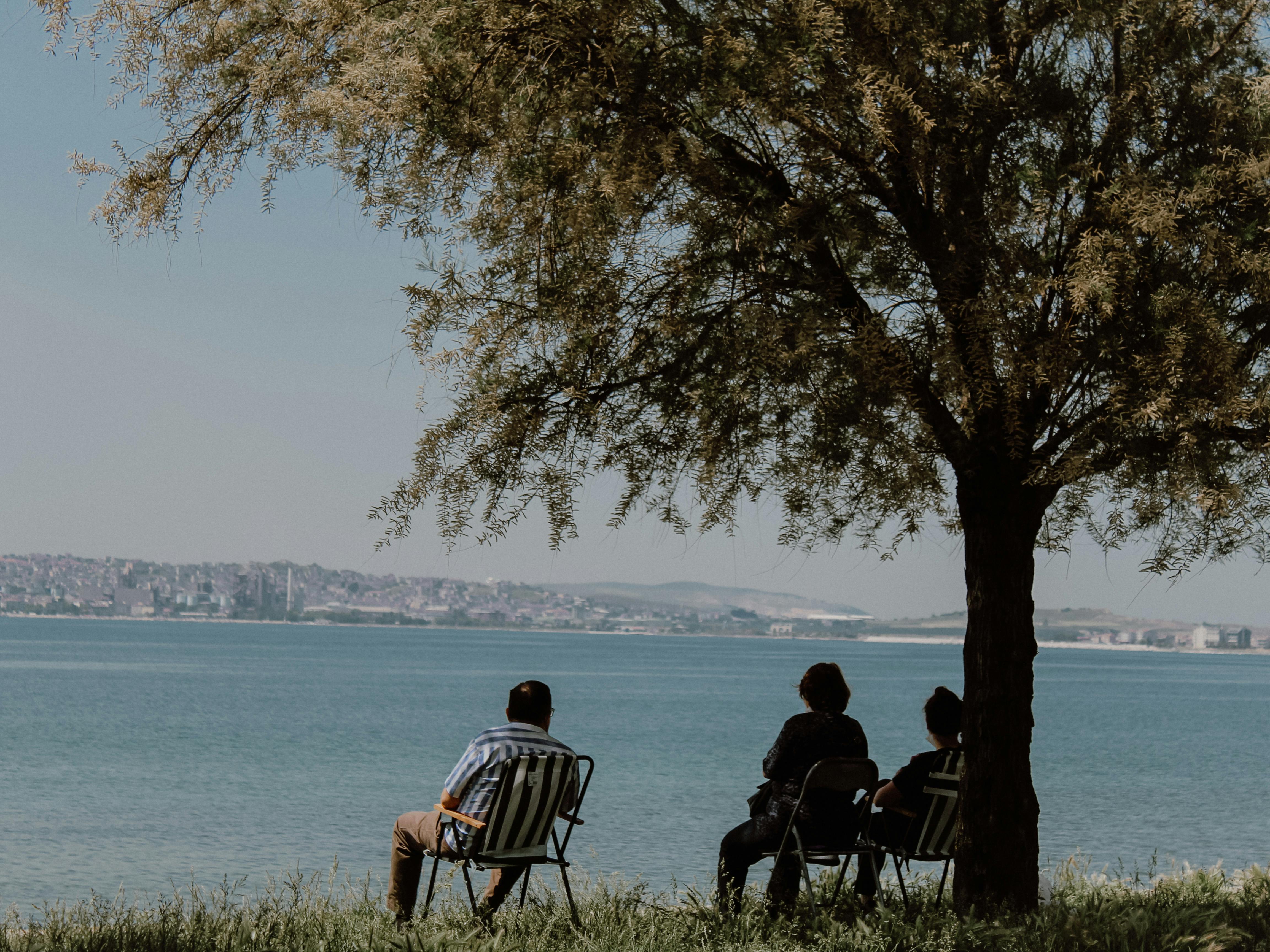 How Will AI Affect Financial Planning for Retirement? — Photo by K. on Pexels