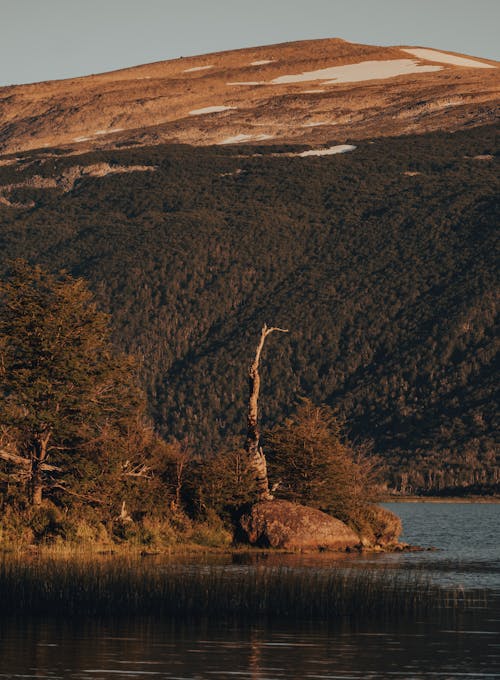 Foto stok gratis alam, bukit, danau