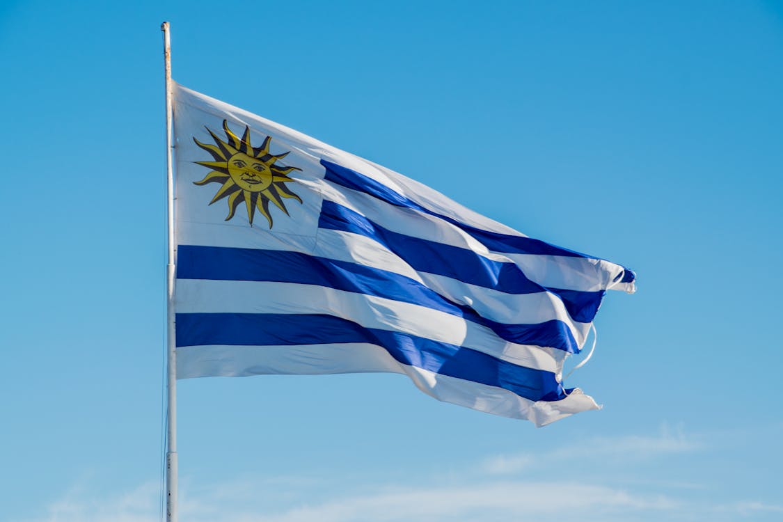 Fotos de stock gratuitas de asta de bandera, bandera de uruguay, campo
