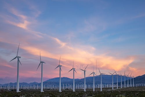 Free A Wind Farm at Sunset Stock Photo