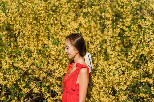 Darmowe zdjęcie z galerii z azjatycki, czerwona sukienka, dziewczyna